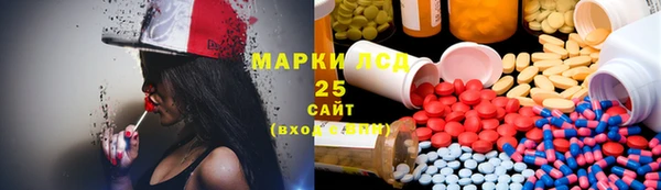 PSILOCYBIN Осинники