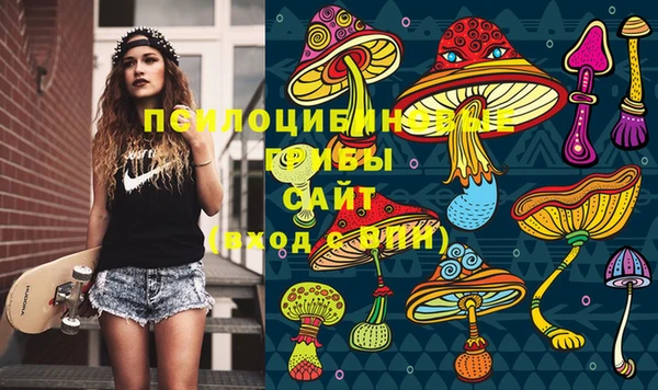 PSILOCYBIN Осинники