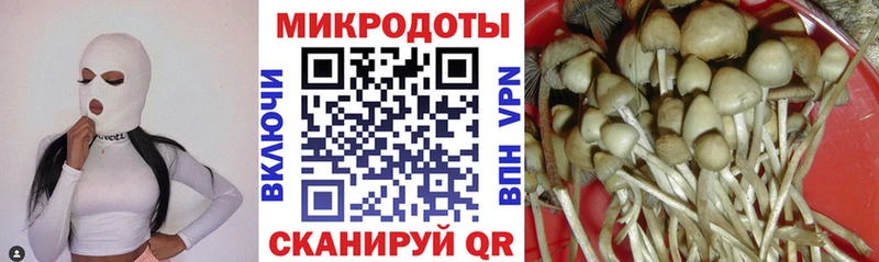 купить наркоту  Рубцовск  Галлюциногенные грибы Psilocybine cubensis 