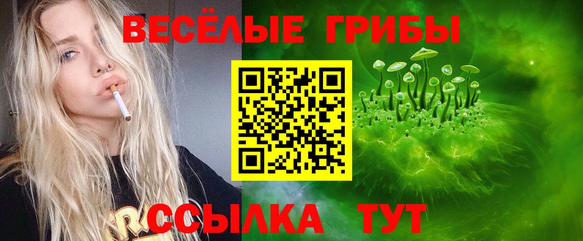 Псилоцибиновые грибы прущие грибы  Псилоцибиновые грибы мицелий  Вход с VPN  Рубцовск 